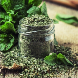 Mentha%20piperita